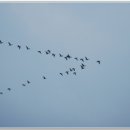 해뜨는집 이미지