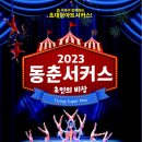 동춘서커스 초인의 비상 이미지
