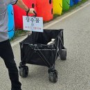 제17회 장수 한우랑 사과랑 축제 | [내 돈 내산 축제 즐기기] “2025 장수 한우랑 사과랑 축제 후기“