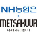 메사 이미지
