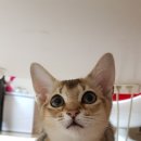 예뻐지는거기