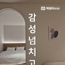 오다위드스위트 이미지