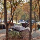 낭만에코파크 이미지