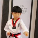 프리미엄 태권마루 태권도장 이미지