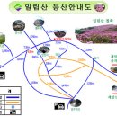 대성주유소 앞 이미지