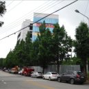 삼각동 824-1 이미지