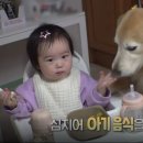 오팔농장 이미지