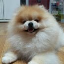 (주)셔리 이미지