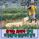 (주)강원 부산물