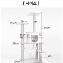 펫&캣 이미지