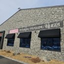 안동하늘소