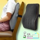 허리나 연구소 이미지