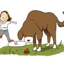 범 동물병원 이미지