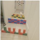 리본반려견 유치원 이미지