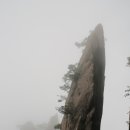 태평산장 이미지