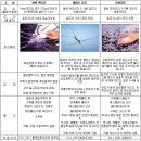 건설안전기술사_강화유리, 배강도 유리 이미지