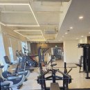 새로고침 PT | 화곡역에서 제대로 된 PT 찾는다면 새로고침PT 후기