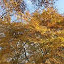 만추가경