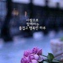 호모 파수스 이미지