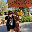 스타사파리(star safari) | [푸꾸옥 여행] 빈펄사파리 빈원더스 콤보티켓 솔직후기(빈펄사파리 기린먹이주기, 코끼리 먹이주기)