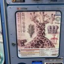 소로3-57 | 백수의 신촌에서 혼자 놀기🐿️