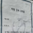 차량단속유예중? 이미지