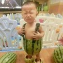 뽁 이미지