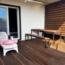 제주벨루가 이미지