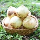 팔도농장 이미지