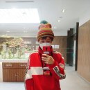 대전 사과꾼 추격 투어 후기