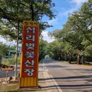 쌍계사십리벚꽃산장
