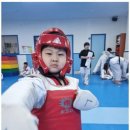 하랑태권도 이미지