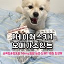 남앤욱카마스타 | 관절 효과때문에 내돈내산 구매까지 하게된... 네이쳐스키 오메가 조인트 후기