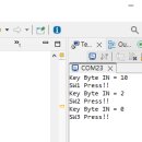 [ARM 실습 16] Key Input == Polling방식(Bit, Byte) 이미지