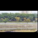 북천교 - 고성군 | 북천교