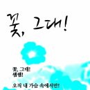 시화전 이미지