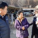 하남면사무소 이미지