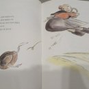 성인 그림책 하브루타 이미지