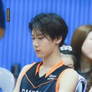 리차이 이미지