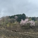 구례하동 2박3일 여행 2 / 삼성궁/ 구례마루 / 풀꽃농원/ 밤톨 베이커리카페 / 하동 최참판댁 / 평사리...