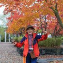 호수공원수변공원 이미지