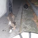 위태경로당 이미지