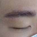 피씨엘코리아 이미지