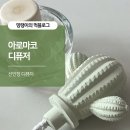 선인장 디퓨저 아로마코 내돈내산 후기