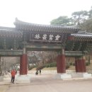 영대병원네거리 이미지