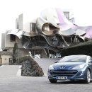 TOPGEAR모터스탑기어