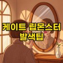 몬스터피그 | 케이트 립몬스터 핑크바나나&amp;다크피그, 쿨톤 립 발색 지속력 후기