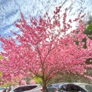 문수사 - 1272 | 문수사