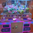 캐치팡 인계점 이미지