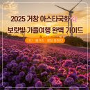 거창소방서 | 🌸 2025 거창 감악산 아스타국화 축제 완벽 가이드 | 제5회 감악산 꽃별여행